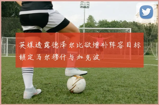 英媒透露德泽尔比欲增补阵容目标锁定马尔穆什与加克波